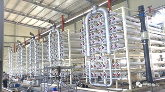 平和縣自來水廠改擴建工程進入最后沖刺,預(yù)計本月底具備全面通水條件